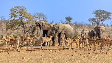 Kruger National Park