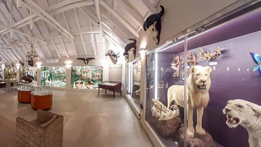 The Graeme Naylor Museum