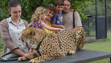 Moholoholo Wildlife Rehabilitation Centre